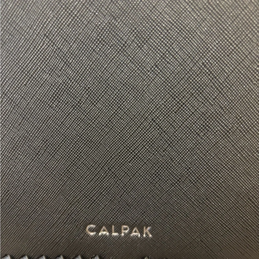 Calpak Backpack - Picture 2 of 6